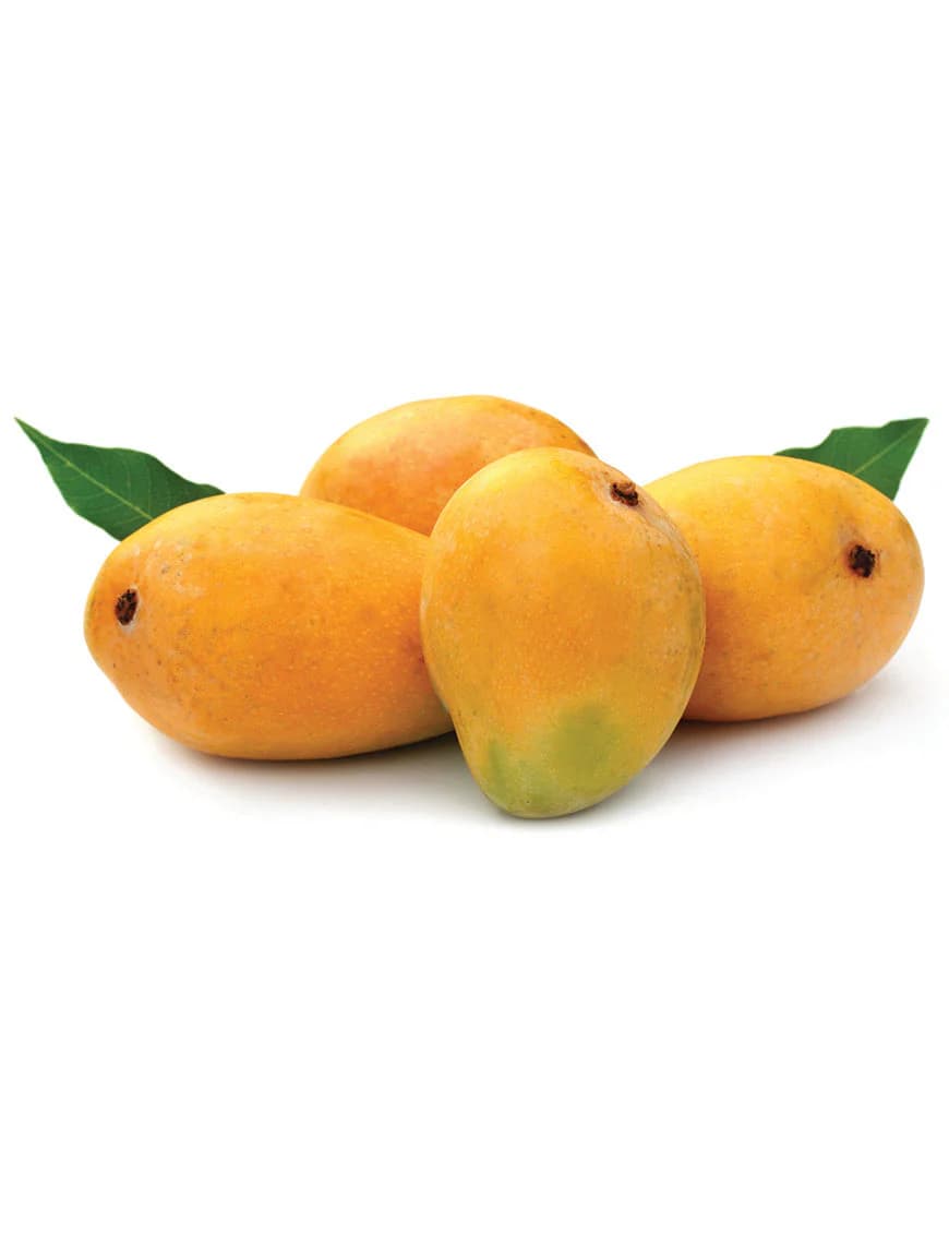 Scotch Bonnet